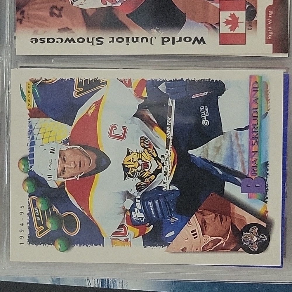 Hockey Card Brian Skudland